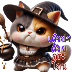 แมวน้อยน่ารัก - ชุดแฟนซี V.2