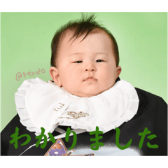 stk_20241016013537