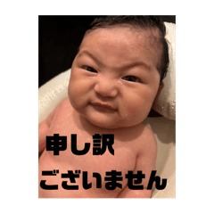 yokko_20241015193845