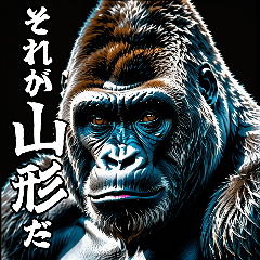 Gorilla talking about Yamagata