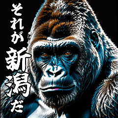 Gorilla talking about Niigata