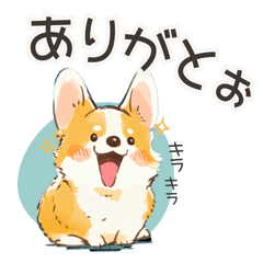 Corgi every day2