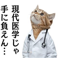 Realistic doctor cat