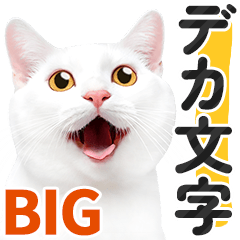 【デカ文字BIG】白猫❤基本の会話