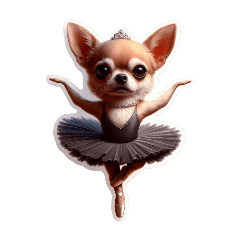 [For arrangement]Chihuahua ballerina