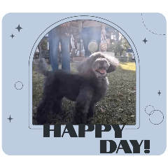 mami to kokowa_20241016130220