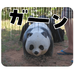 yutodao_20241015190506