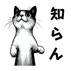 Illustrated style cat illustration