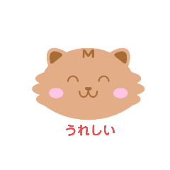 tanuki_20241015235604