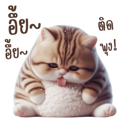 "Jao Khun Chang, the Mischievous Cat"