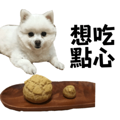 他咪生活❷