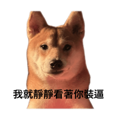 萌寵初登場