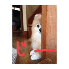 yahoo_20241016163127