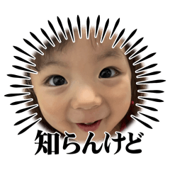 kayo_20241016154528