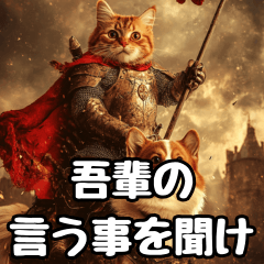 King of the Western cats