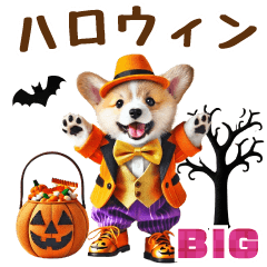 【BIG】コーギーハロウィン