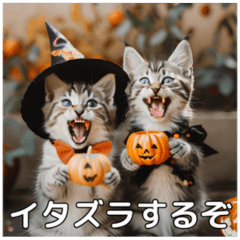 ハロウィンだ！子猫ミームで遊ぼう！