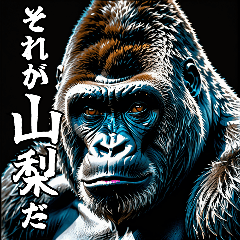 Gorilla talking about Yamanashi