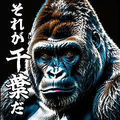 Gorilla talking about Chiba