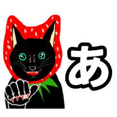 blackcat.popo_20241016160013