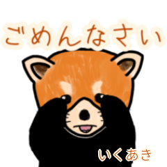 Ikuaki's lesser panda