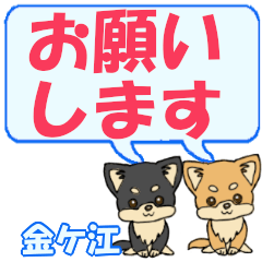 Kanagae's letters Chihuahua2