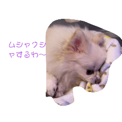 okayu_20241016201507