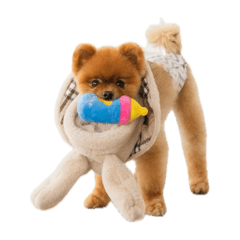 chiemii_20241016212630