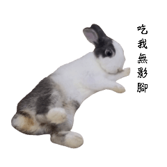 墨墨兔3.0
