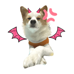 BAKKI_20241016232838