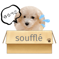 test_20241017000939