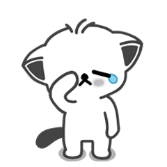 A crying cat every day