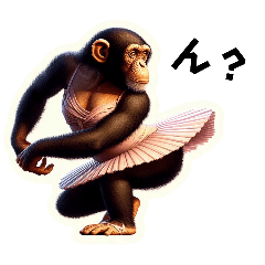 Chimpanzee ballerina