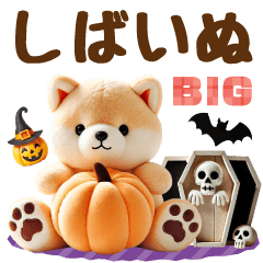 【BIG】しばいぬでハロウィン