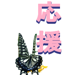 Chinese characters From Butterfly-BIG