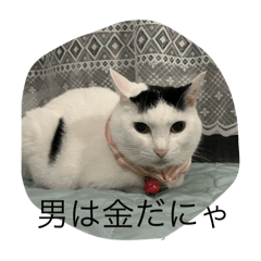 akusizu0122_20241016200614