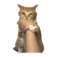 kanokun_20241017101842