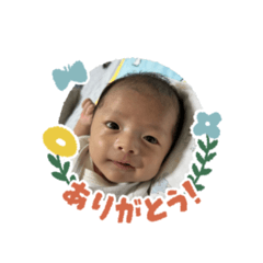 ccmm_20241017131018