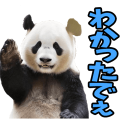 大分弁☆パンダ