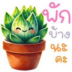 Cute cactus, popular talk, common words