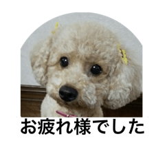 M's yuzu and ame_20241017145158