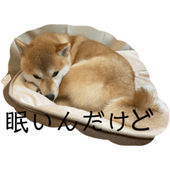 犬日常的に使えるスタンプ光海2