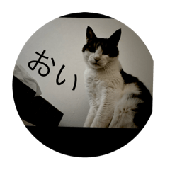 MYmen_20241017213257