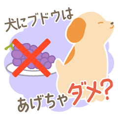 Trivia Quiz about Dogs! Anidone Stickers