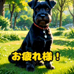 Black Mini Schnauzer: Everyday Cuteness