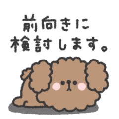 natural poodle sticker #10