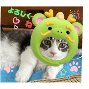 hiro_20241017154949
