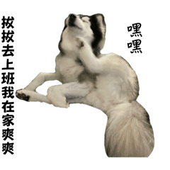 CHIA-I_20241017173946