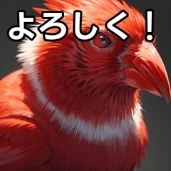 cute red bird