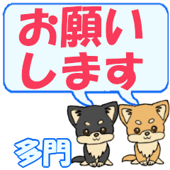 Tamon's letters Chihuahua2